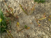 22a3c0cf-Picture 1480.jpg